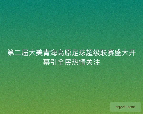 第二届大美青海高原足球超级联赛盛大开幕引全民热情关注