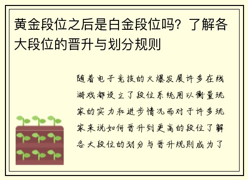 黄金段位之后是白金段位吗？了解各大段位的晋升与划分规则
